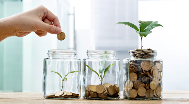 money in jars growing plants